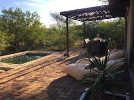 Kruger To Canyons Accommodation at Giraffe and Zebra Lodge | Viya