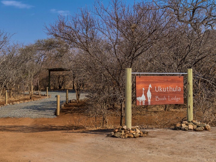 Kruger To Canyons Accommodation at Ukuthula Bush Lodge | Viya