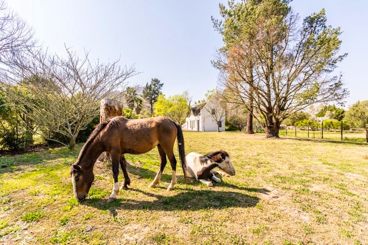 Western Cape Accommodation at Die Wasbak | Viya