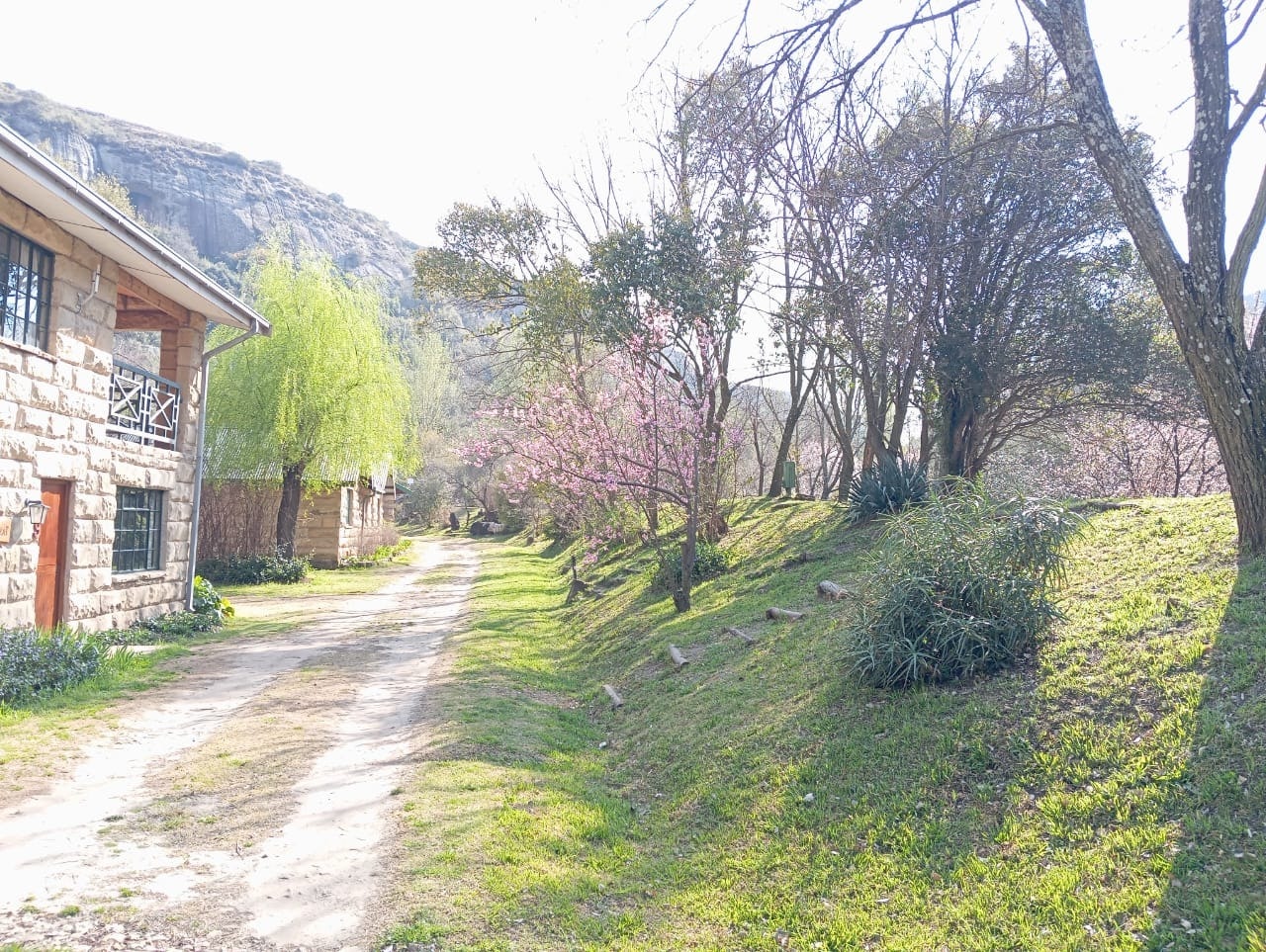 Meiringskloof Nature Park image no 4 of 38