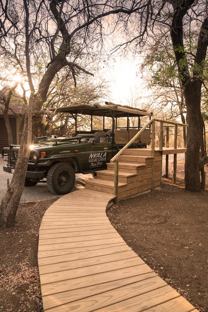 North West Accommodation at Nkala Safari Lodge - Black Rhino Game Reserve | Viya
