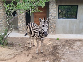 Kruger National Park South Accommodation at Lionsview Private Lodge - 4 Lions, 4 Sleeper | Viya