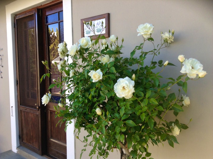 Western Cape Accommodation at Lavenders | Viya