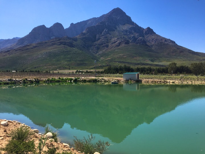 Western Cape Accommodation at Geluk on Vergenoegd Farm | Viya
