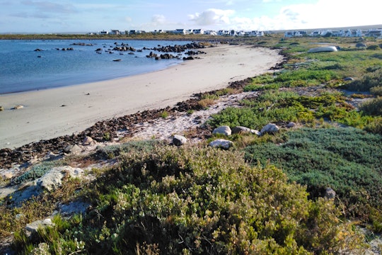 Strandloper @ Moeriesbaai