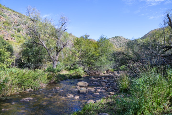 Garden Route Accommodation at De Oude Meul Country Lodge and Restaurant | Viya