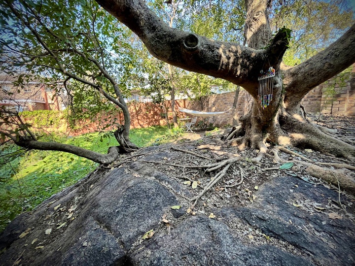 Mpumalanga Accommodation at Fig Tree Rock | Viya