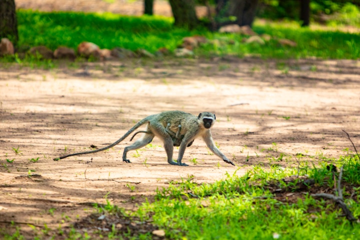 Mpumalanga Accommodation at Kum Kula Lodge | Viya