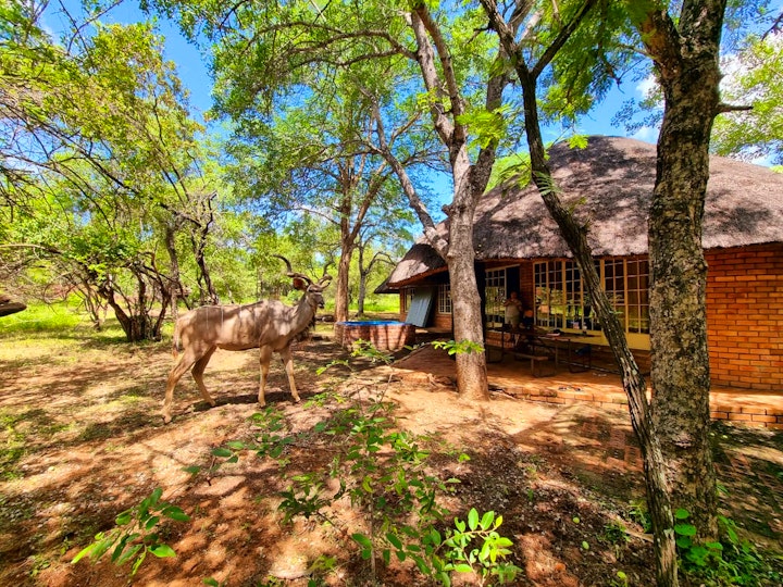 Mpumalanga Accommodation at Hardekool Home | Viya