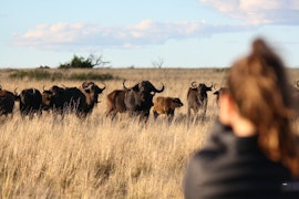 Free State Accommodation at Grootvallei Guest Farm - Suite | Viya