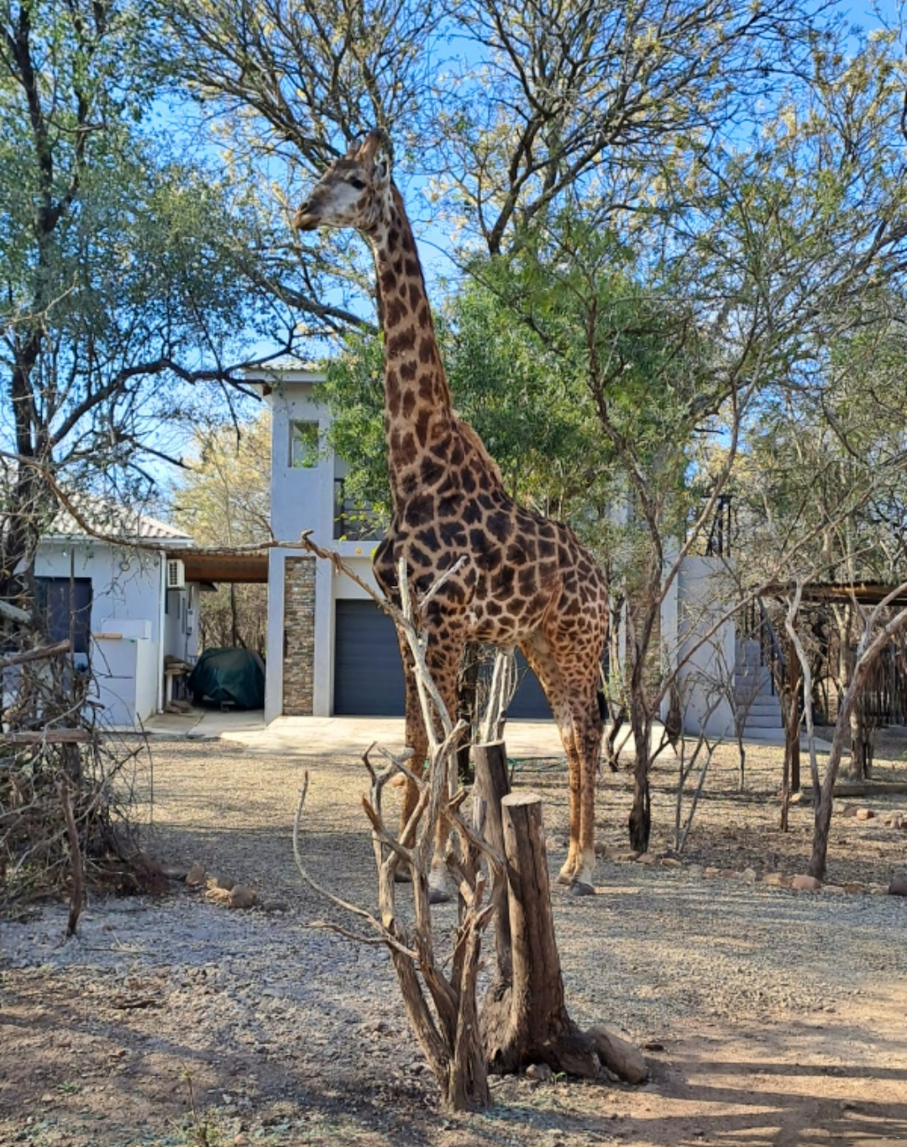 Kruger National Park South Accommodation at  | Viya