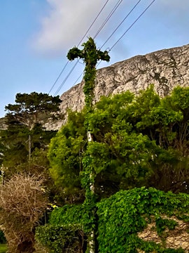 Hermanus Accommodation at Fraaiuitzicht Gastehuis | Viya