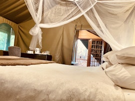 Kruger National Park South Accommodation at  | Viya