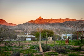 Namaqualand Accommodation at Frances @ Kamieskroon Cosy Cottages | Viya