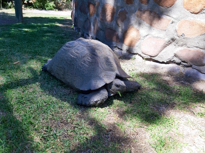 Karoo Accommodation at Rondawel Guest Farm | Viya