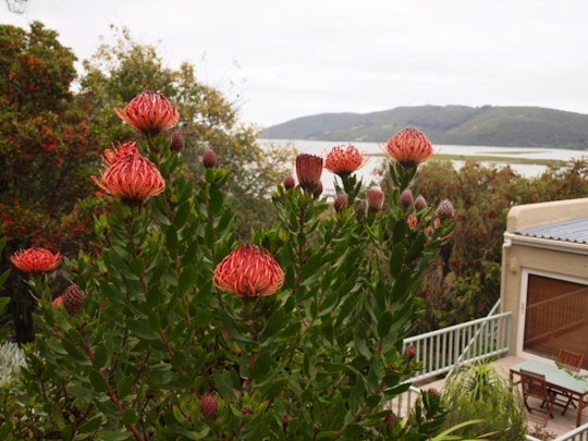 Knysna Accommodation at  | Viya