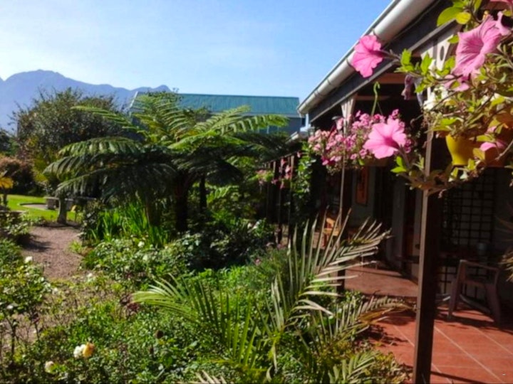 Western Cape Accommodation at African Sun Guest House | Viya