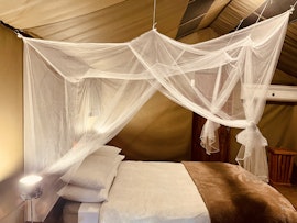 Kruger National Park South Accommodation at  | Viya