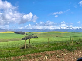 Overberg Accommodation at Seaview on 2822 | Viya