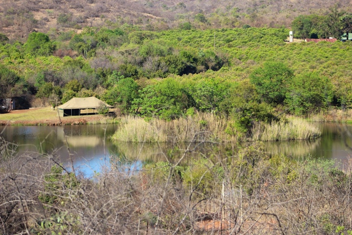 Waterberg Accommodation at Sitruskloof Holiday House | Viya