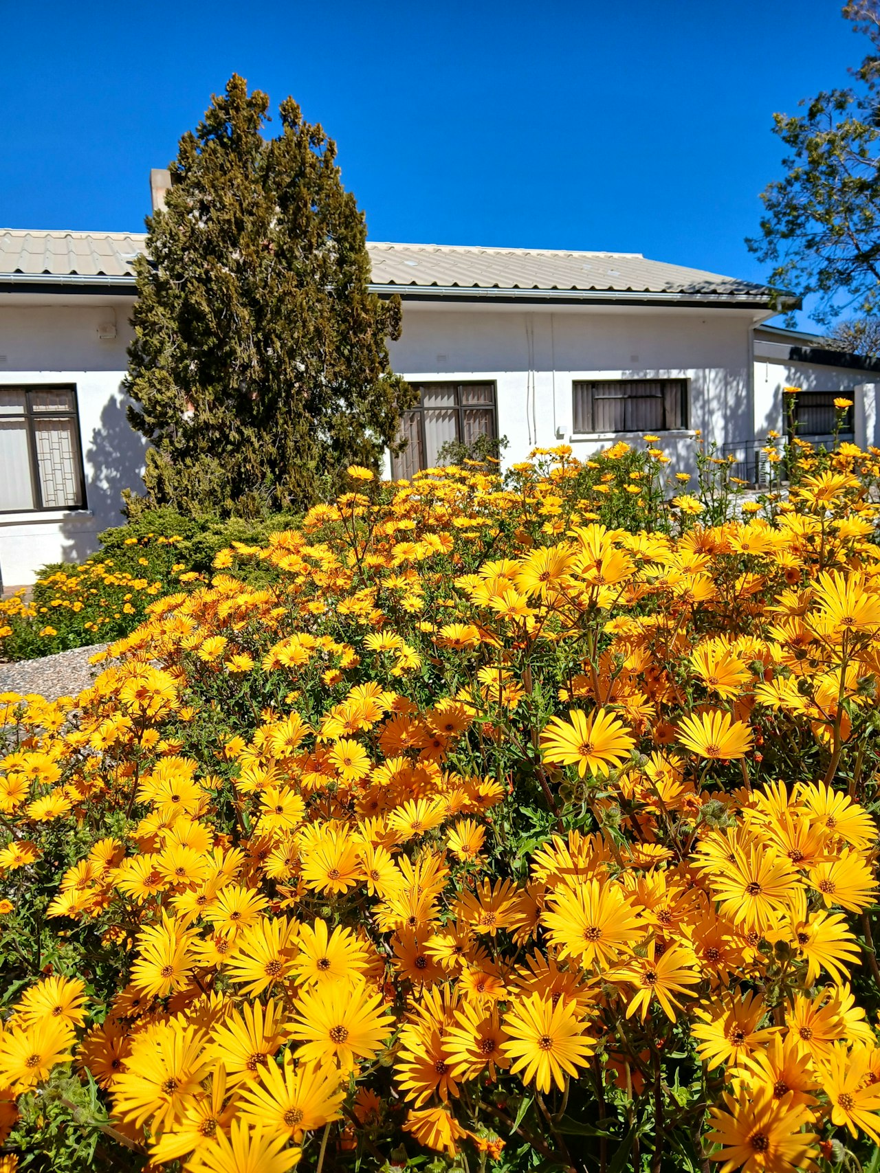 Namaqualand Accommodation at  | Viya