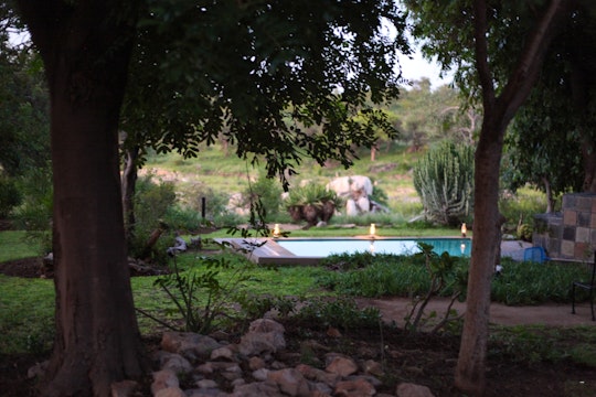 Kruger To Canyons Accommodation at  | Viya