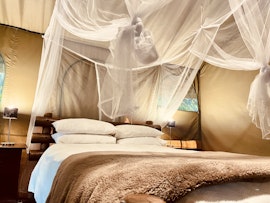 Kruger National Park South Accommodation at  | Viya