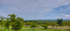 Dinokeng Game Reserve Accommodation at  | Viya