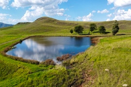 Free State Accommodation at Elizabeth Farm Stay | Viya