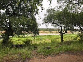 Kruger National Park South Accommodation at Bushveld Symphony | Viya