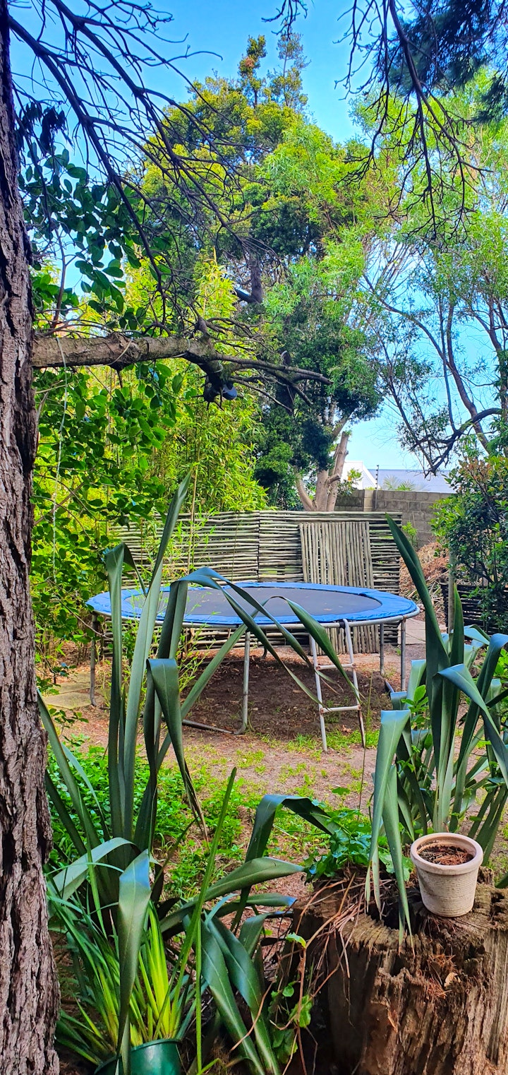 Western Cape Accommodation at Cycads Self-catering 6 | Viya