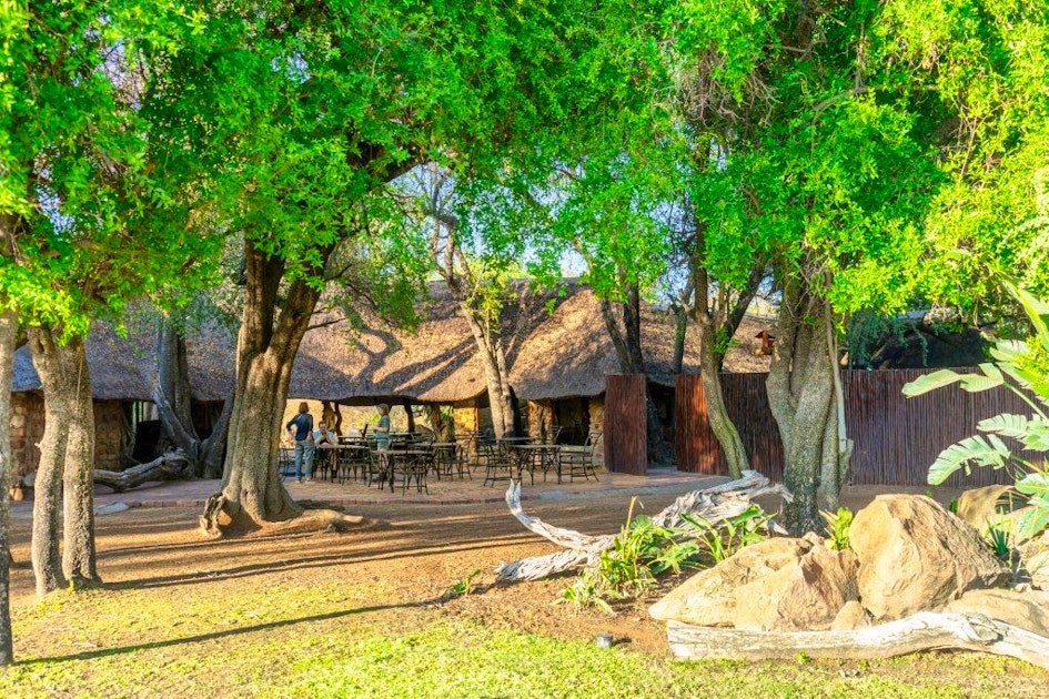 Adventure Bush Lodge Chalets | TravelGround