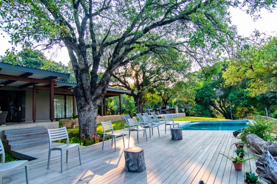 Kruger National Park South Accommodation at  | Viya