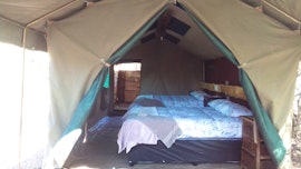 Kruger To Canyons Accommodation at  | Viya