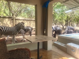 Kruger National Park South Accommodation at  | Viya