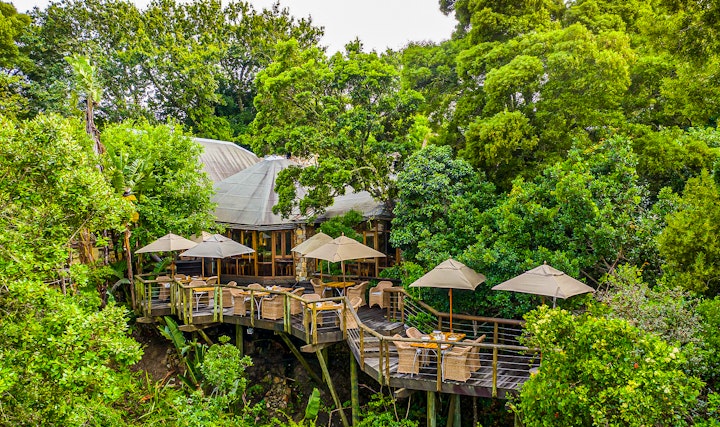 Garden Route Accommodation at Tsala Treetop Lodge | Viya