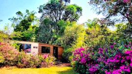 Magoebaskloof Accommodation at  | Viya