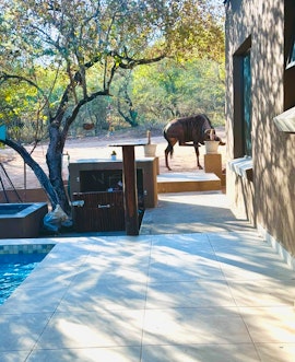 Kruger National Park South Accommodation at Vivo Per Lei | Viya