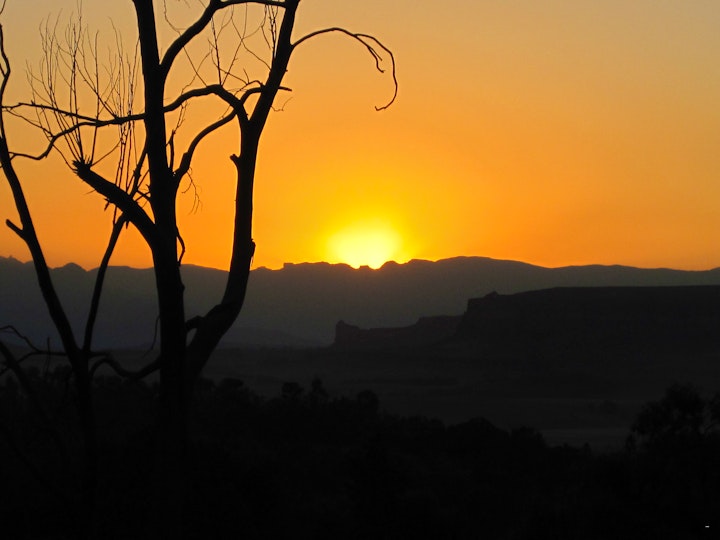 Drakensberg Accommodation at The Fat Mulberry Guest Farm | Viya