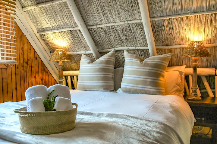 Dinokeng Game Reserve Accommodation at IKhaya LamaDube Game Lodge | Viya