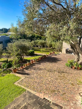 Riebeek-Kasteel Accommodation at  | Viya