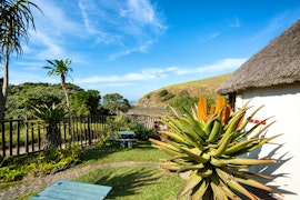 Wild Coast Accommodation at  | Viya