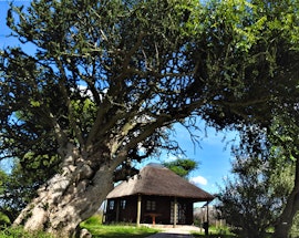 Limpopo Accommodation at  | Viya