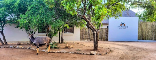 Kruger To Canyons Accommodation at  | Viya