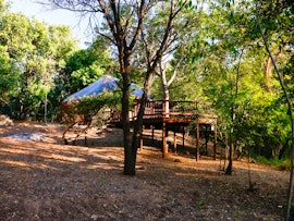 Kruger To Canyons Accommodation at  | Viya