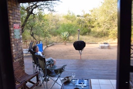 Kruger National Park South Accommodation at Khumbula iAfrica 2 | Viya