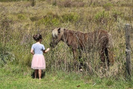 Overberg Accommodation at  | Viya