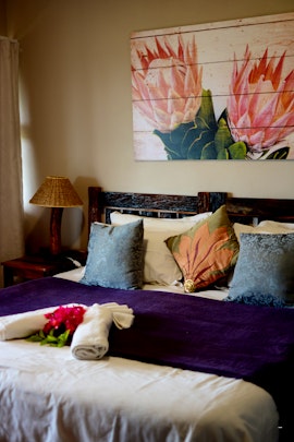 Sarah Baartman District Accommodation at  | Viya