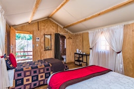 Pretoria Accommodation at  | Viya