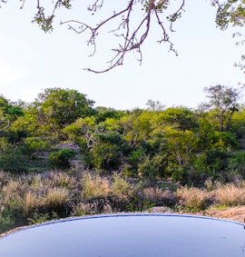 Kruger To Canyons Accommodation at  | Viya